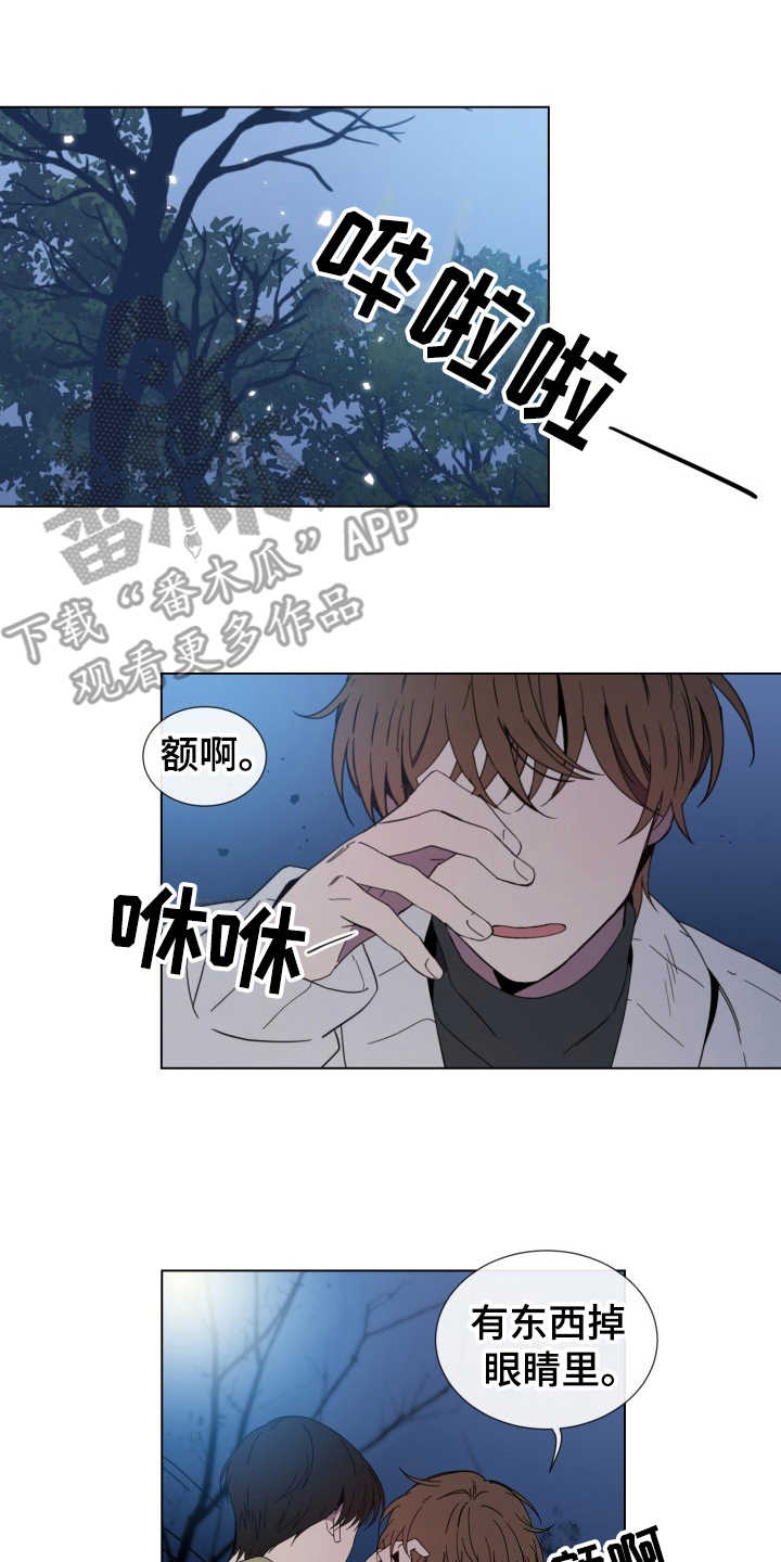 第13章：心动6