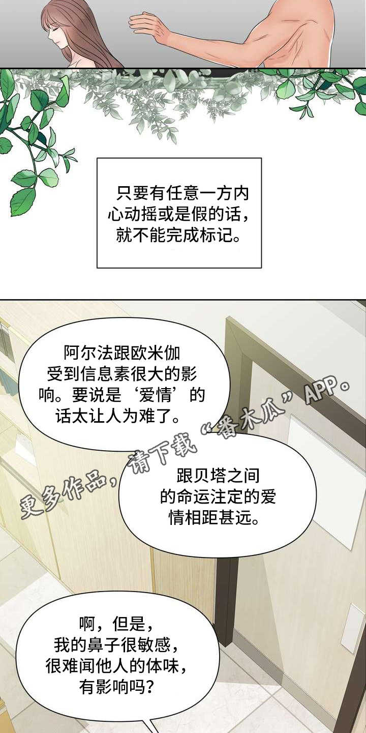 第6章：偏见4