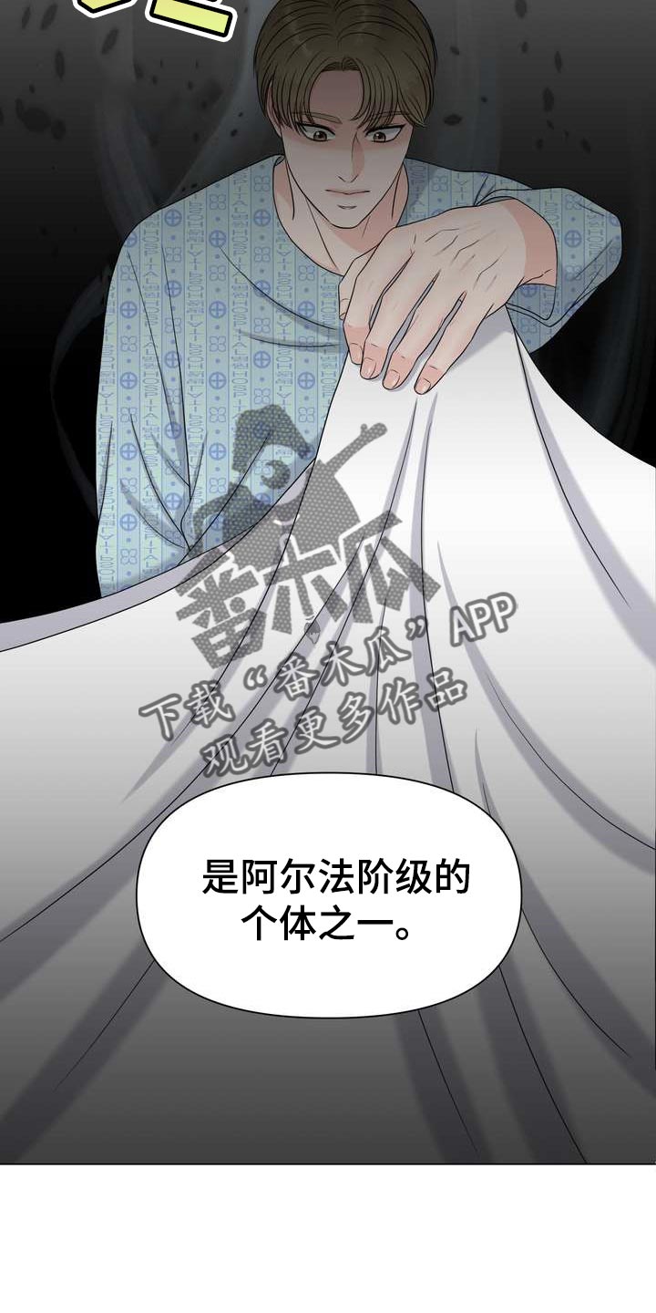 第53章：混乱17