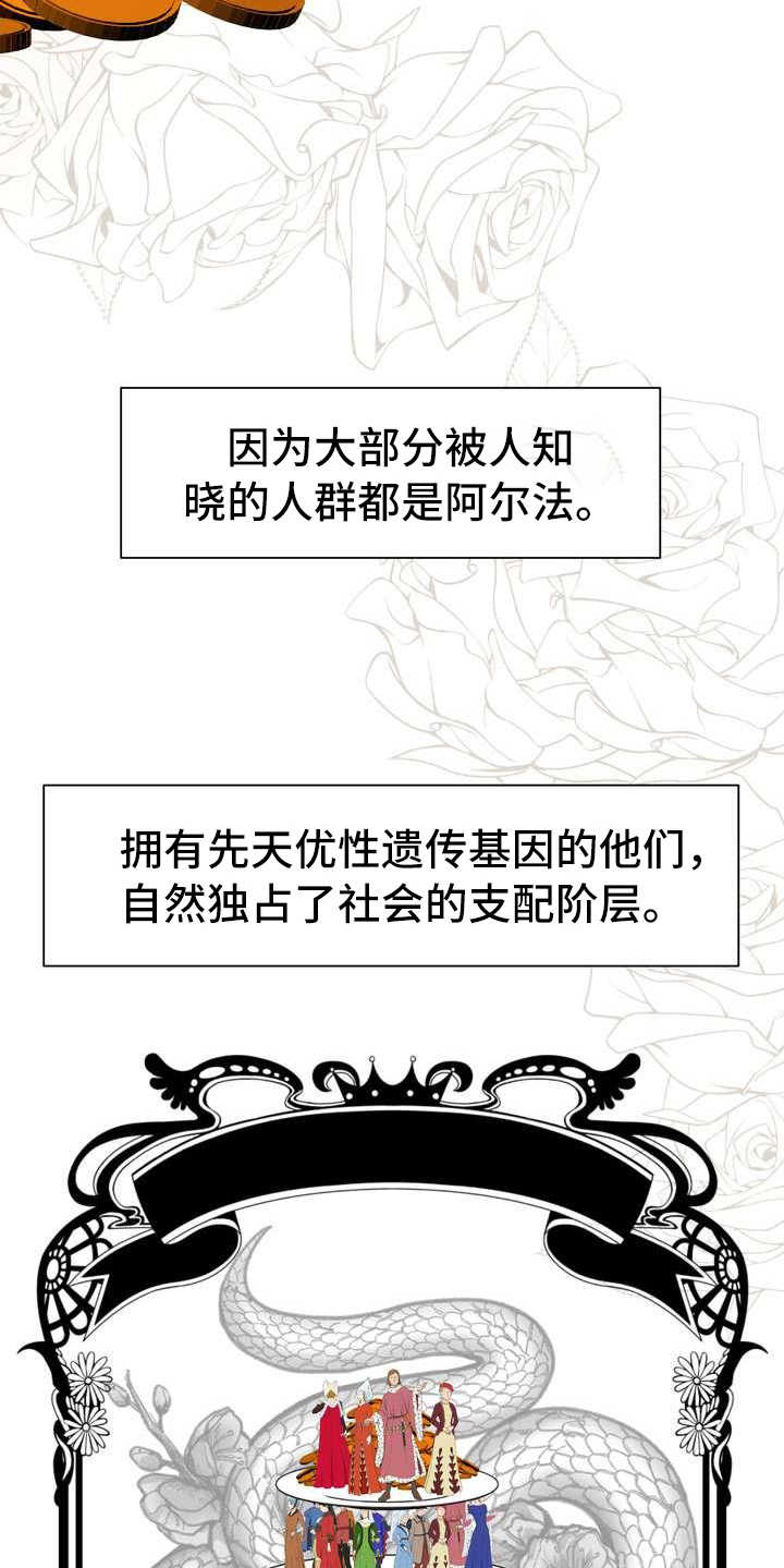 第3章：欧米伽5