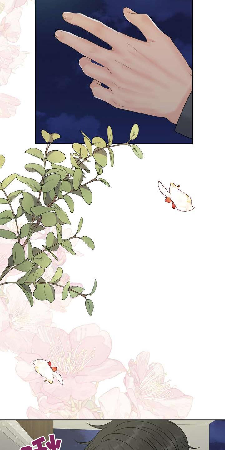 第95章：美味17
