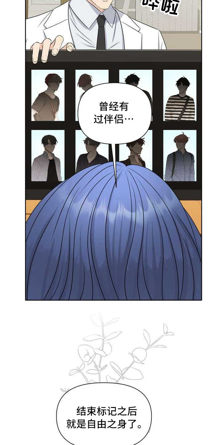 第6章：偏见9