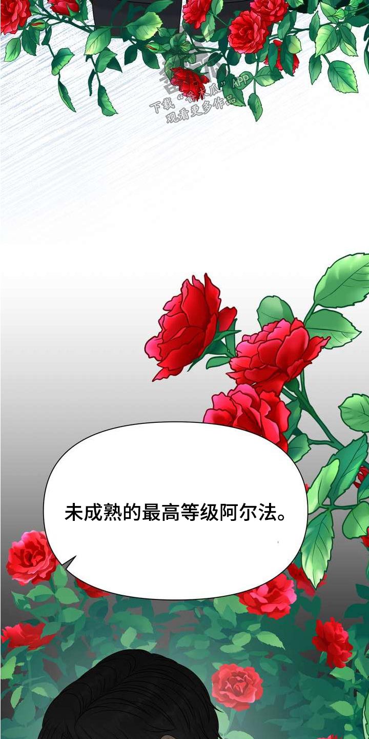 第111章：请解除26