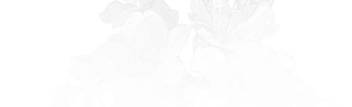 第60章：奇怪的感觉27