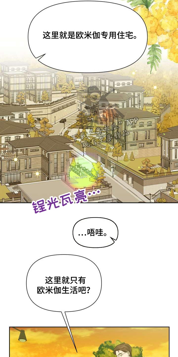 第64章：保护你5