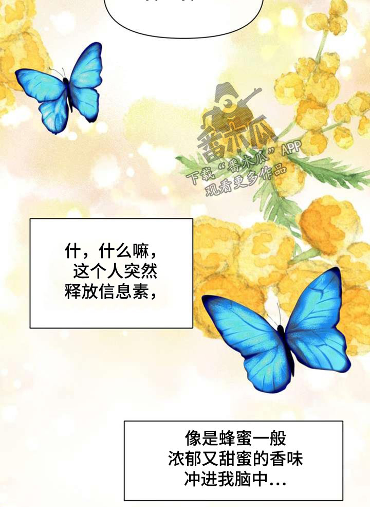 第104章：好朋友24