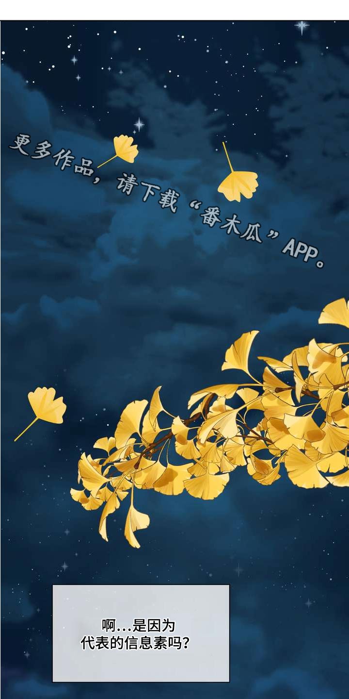 第119章：不完美0