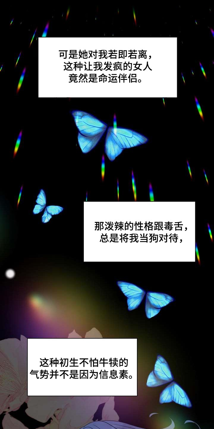 第58章：忍不住担心21