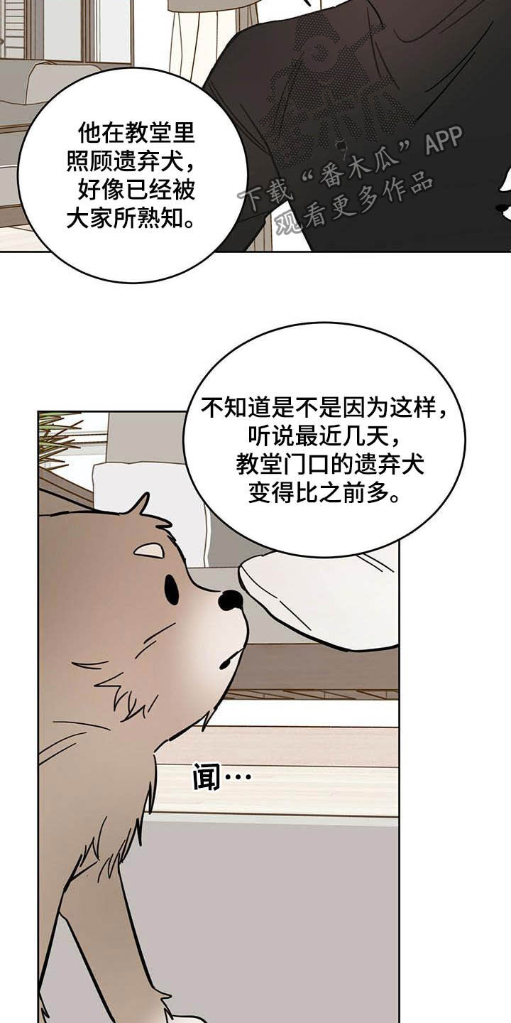 第24章：宠物捉迷藏5