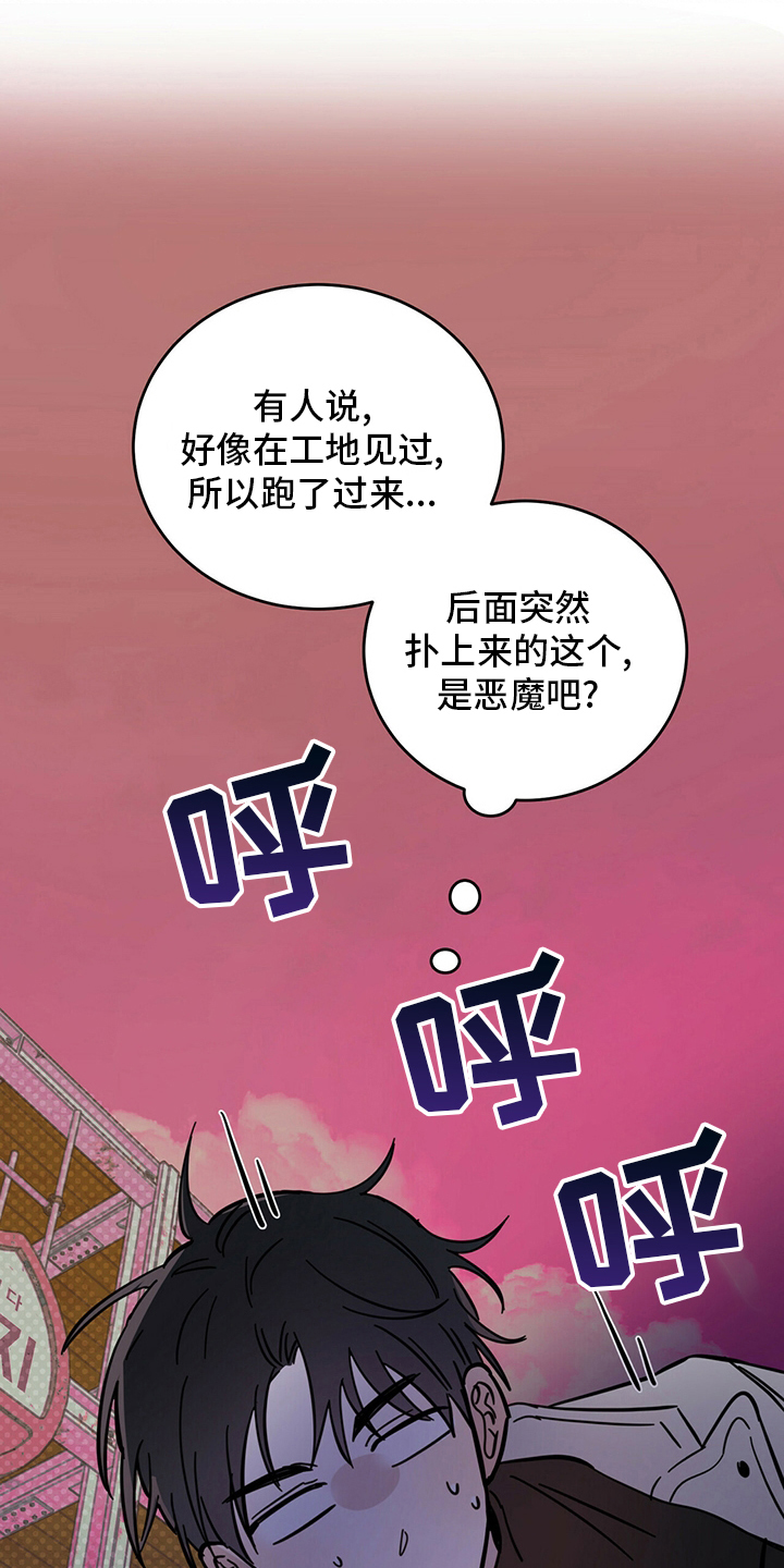 第27章：动物17