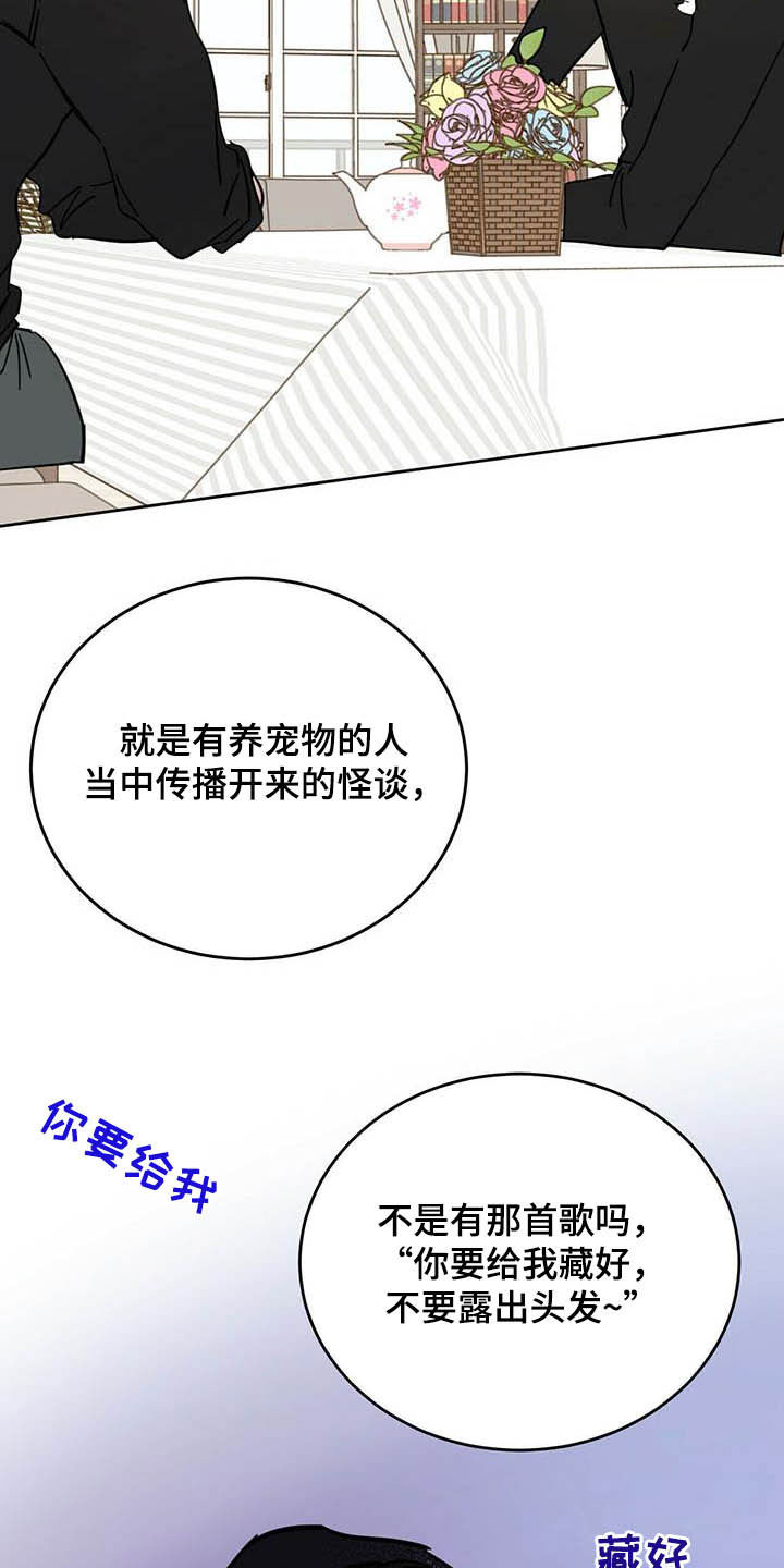 第24章：宠物捉迷藏9