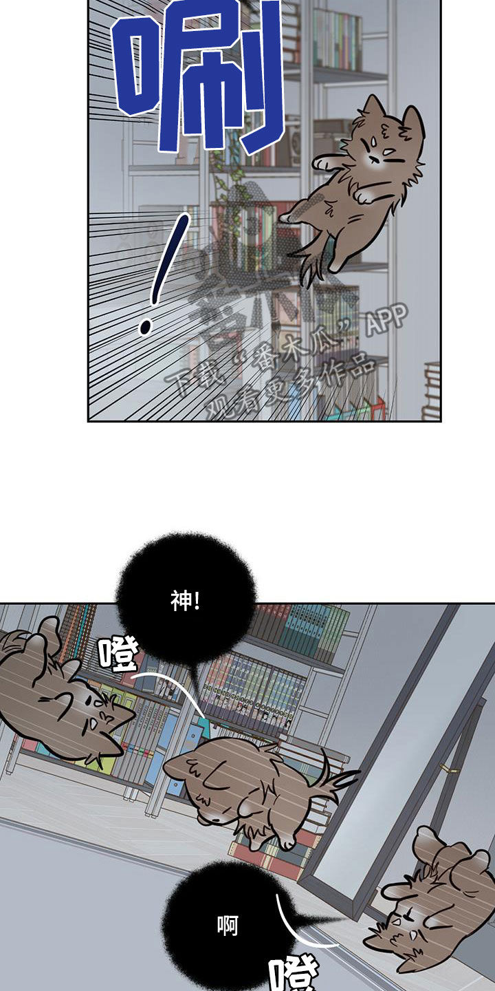 第58章：祭品21