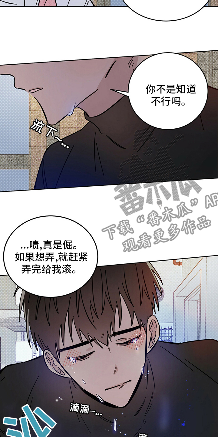 第27章：动物6