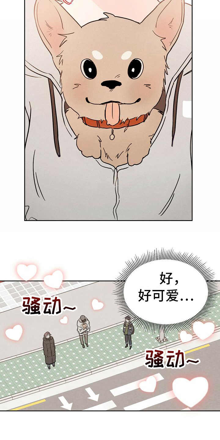 第1章：晕血7
