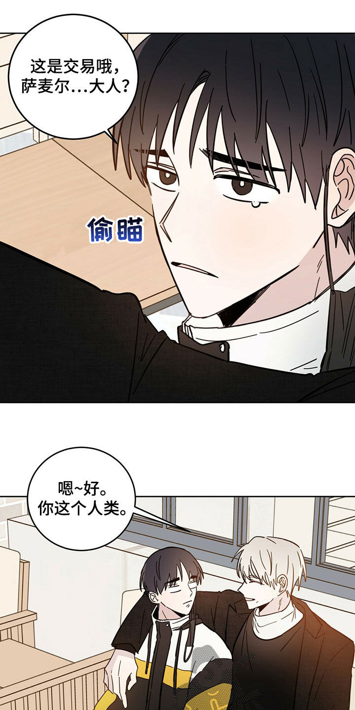 第16章：陷阱11