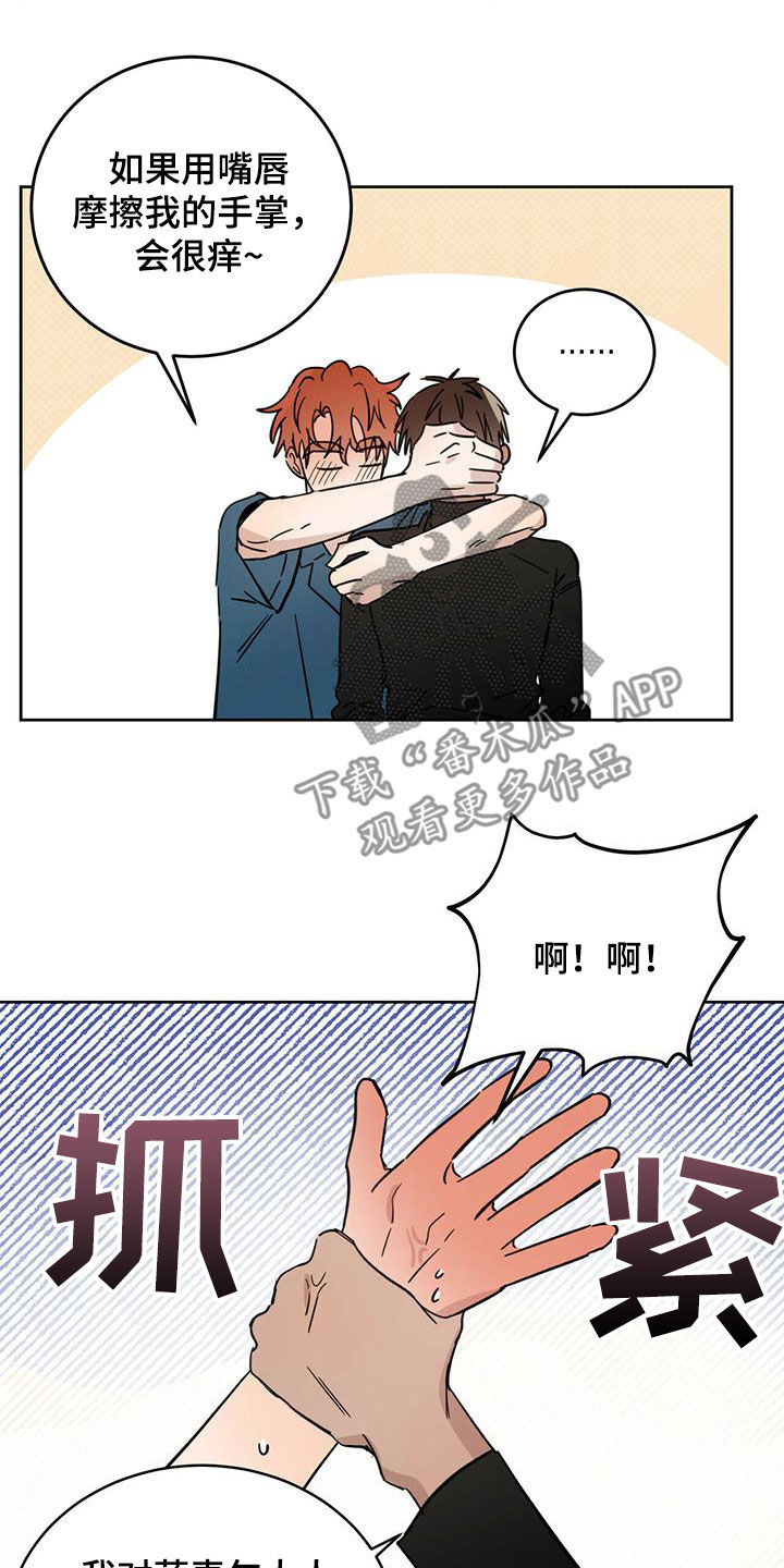 第43章：原则8