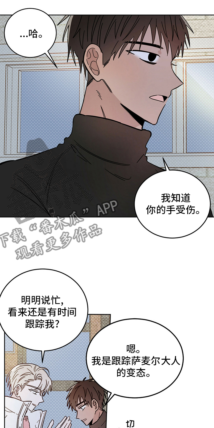 第27章：动物4