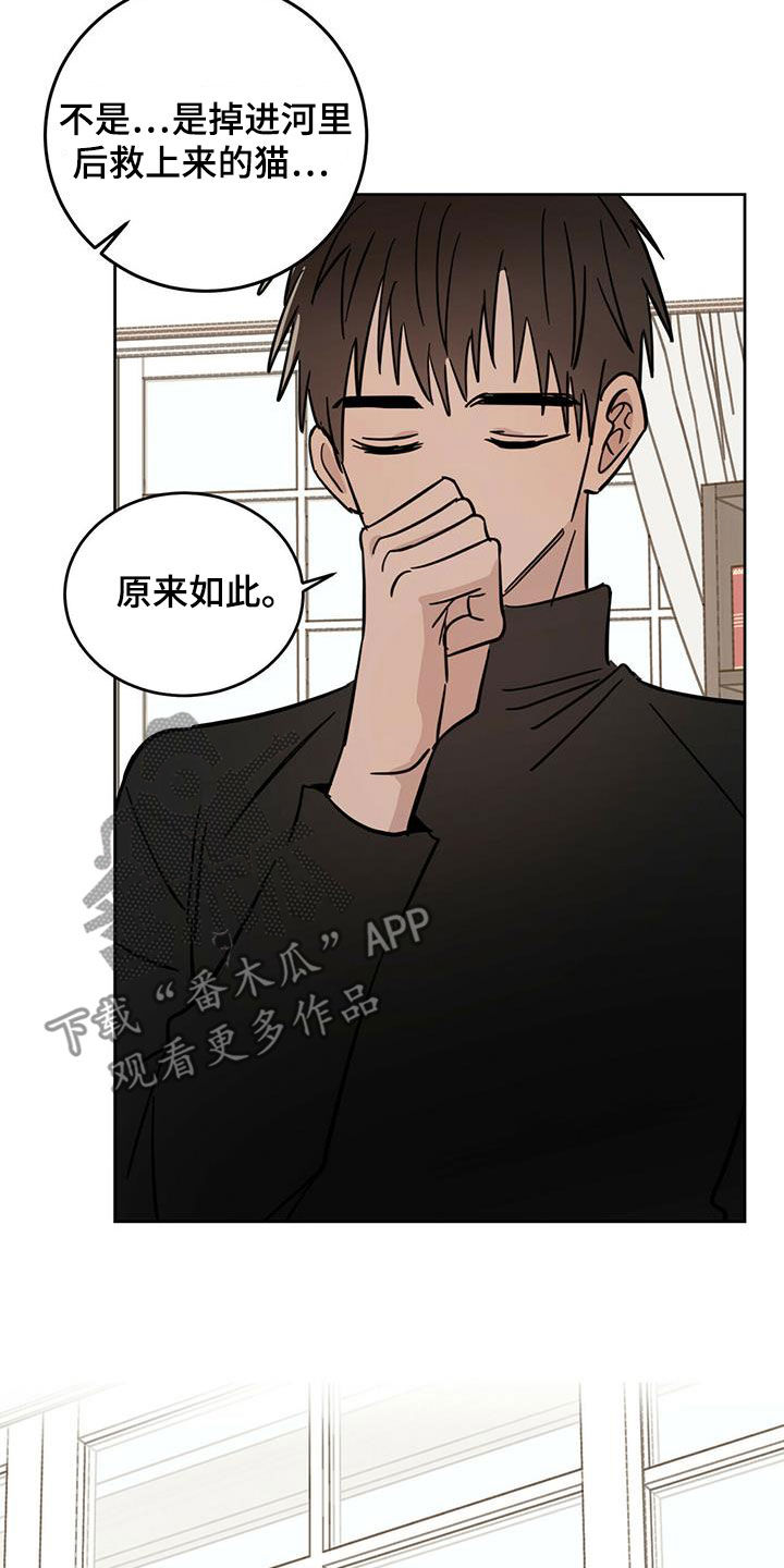 第43章：原则21
