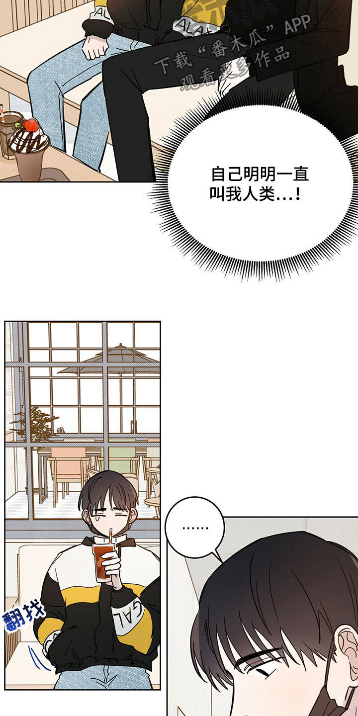 第16章：陷阱12