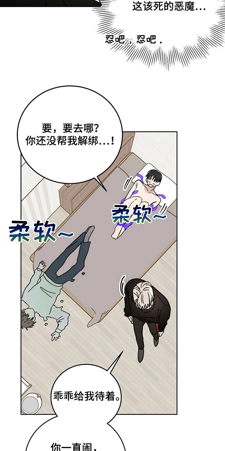 第20章：补偿2