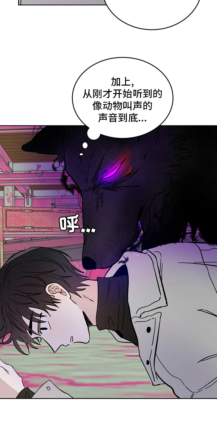 第27章：动物19