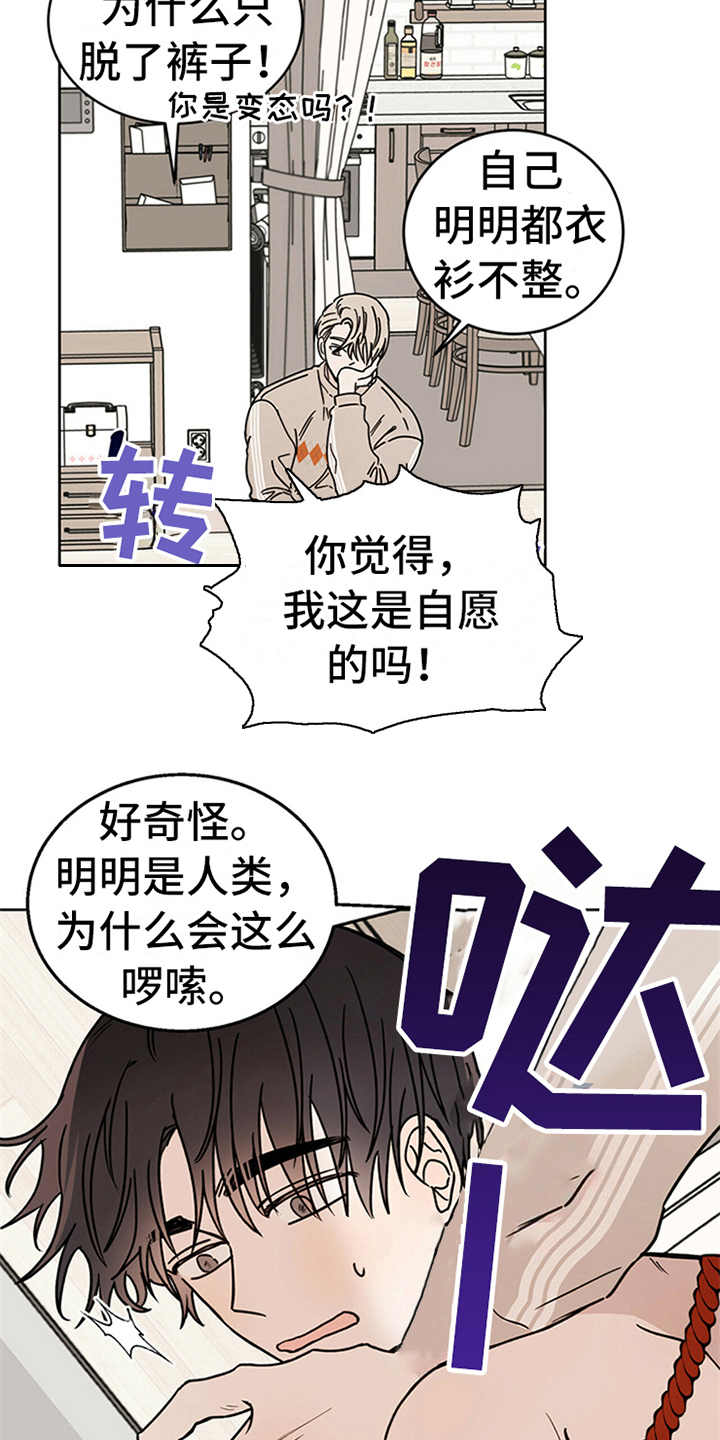 第5章：贡献灵魂19