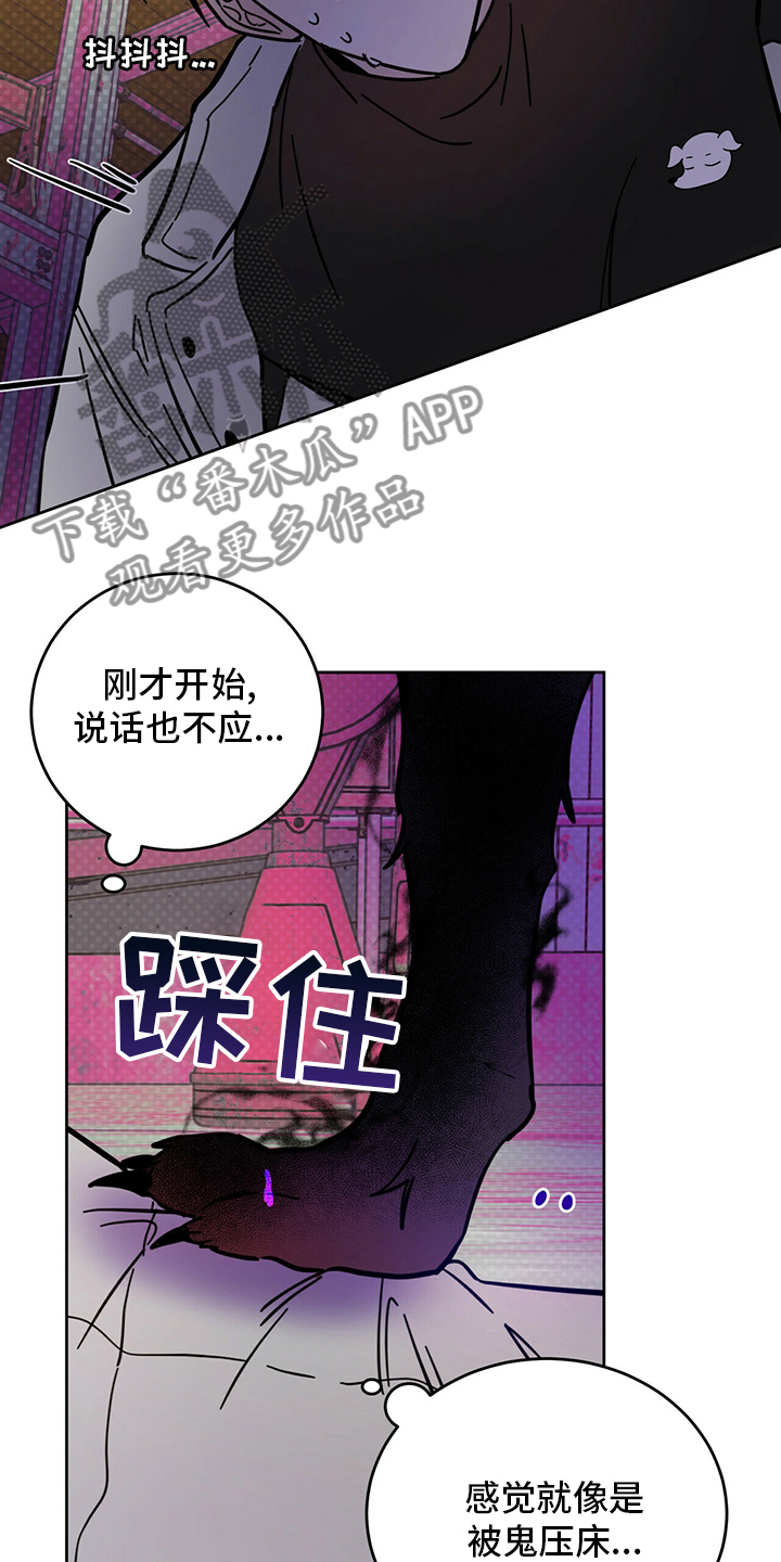 第27章：动物18