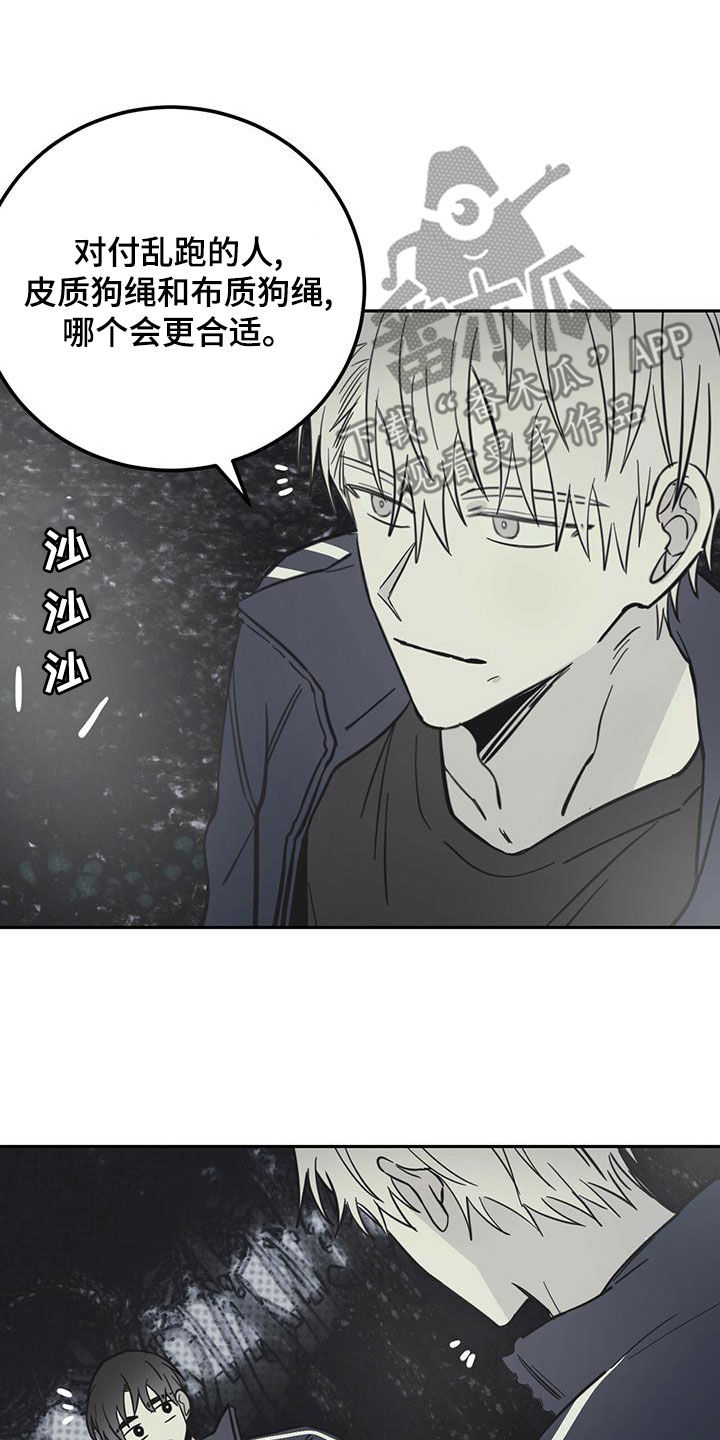 第60章：伪装20