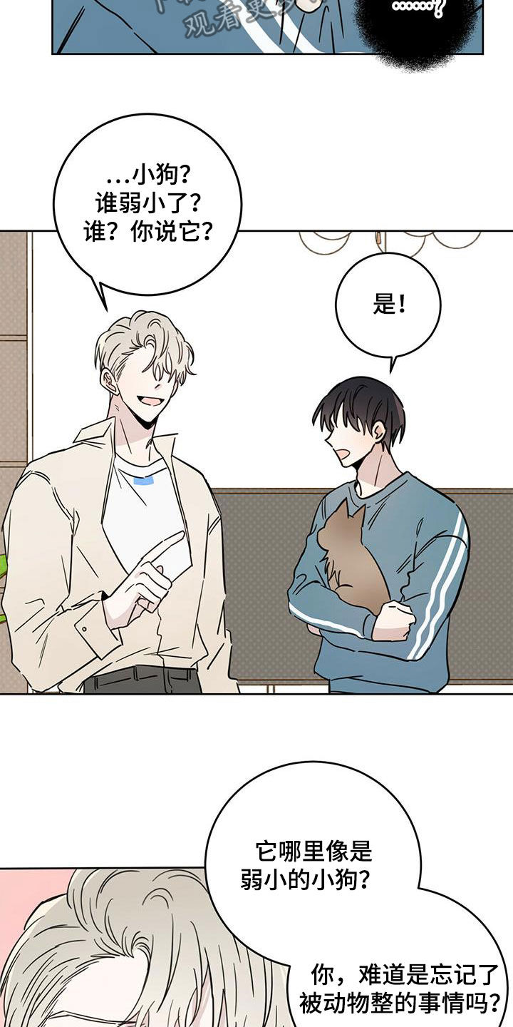第39章：等一等6