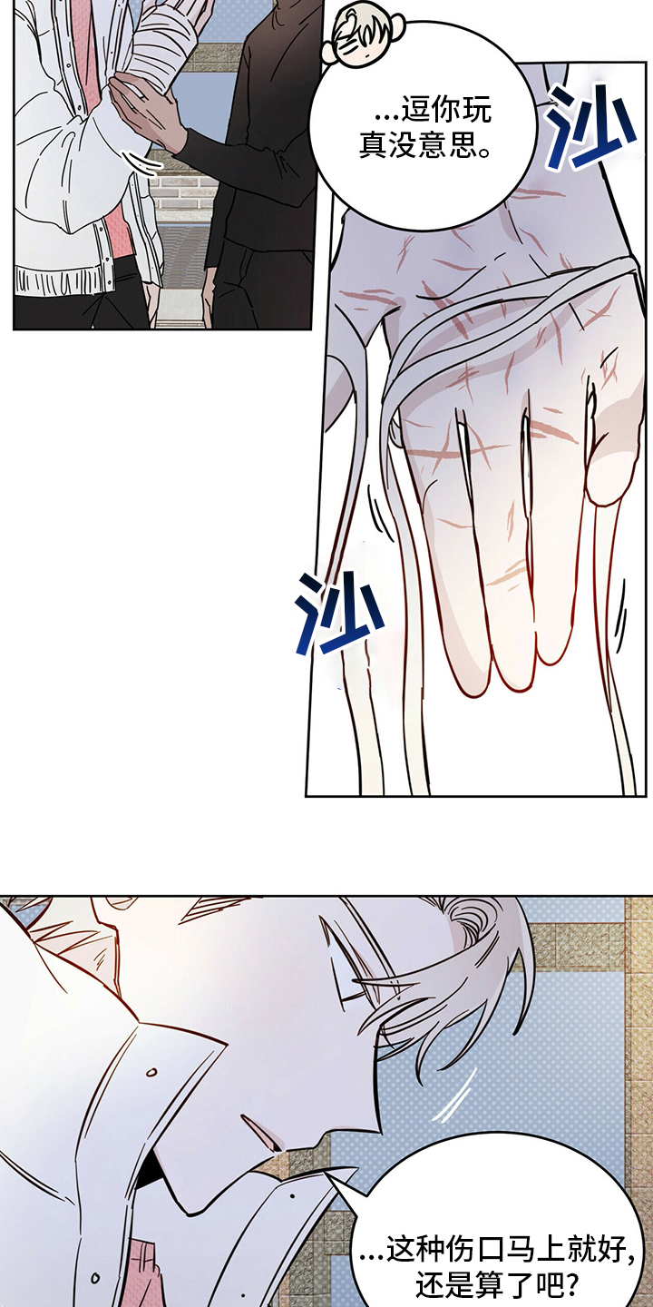 第27章：动物5