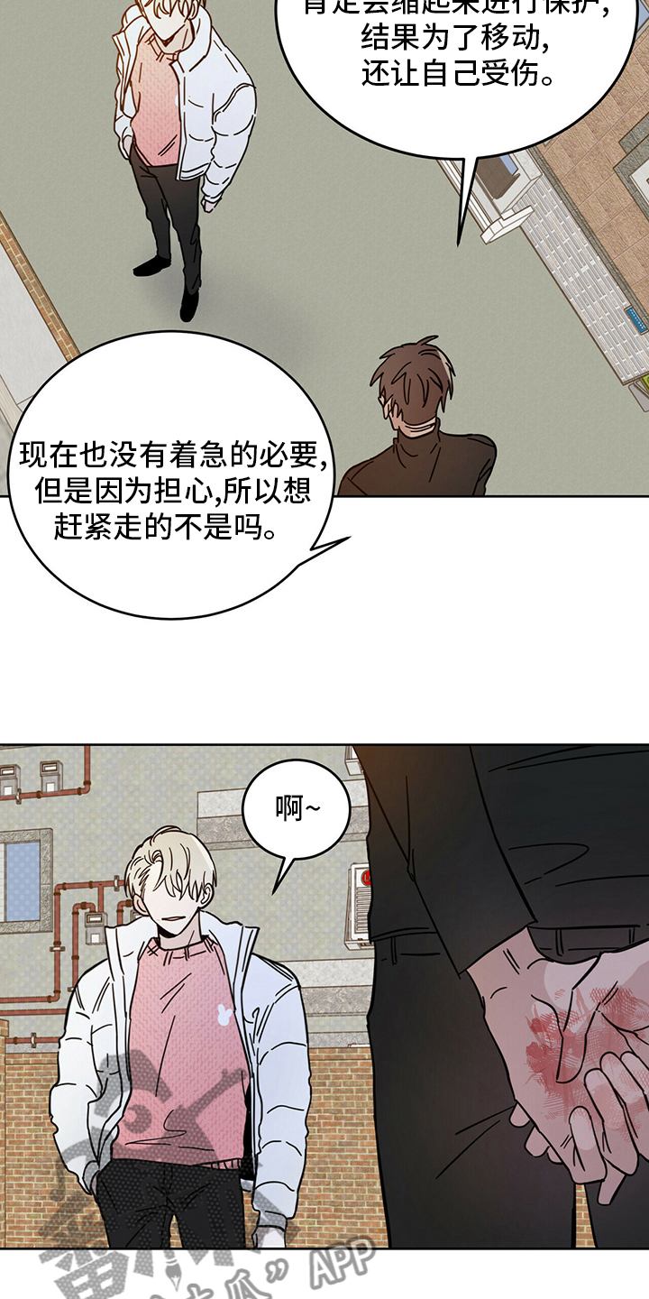 第27章：动物10