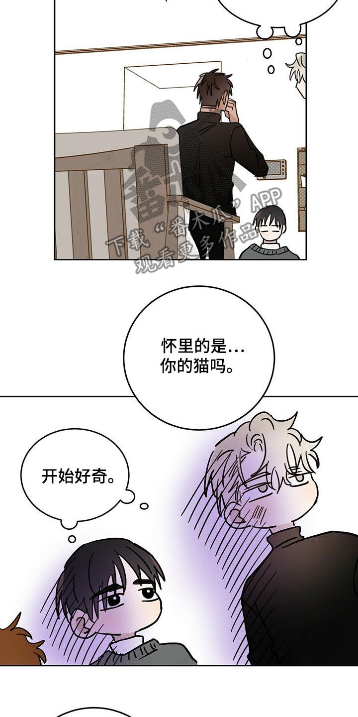 第43章：原则20