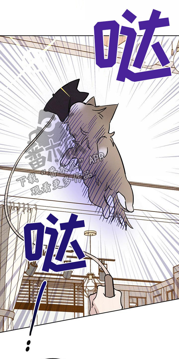 第38章：胡说八道7