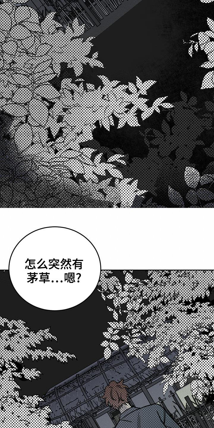 第54章：梦境8