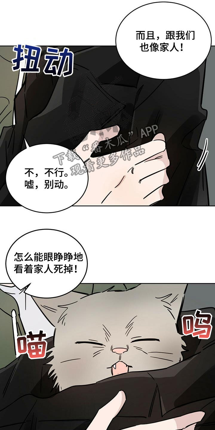 第43章：原则14