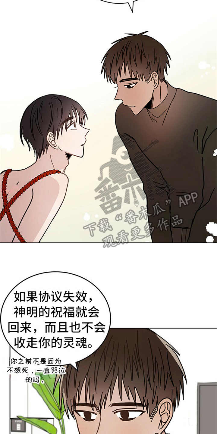 第6章：神的祝福17