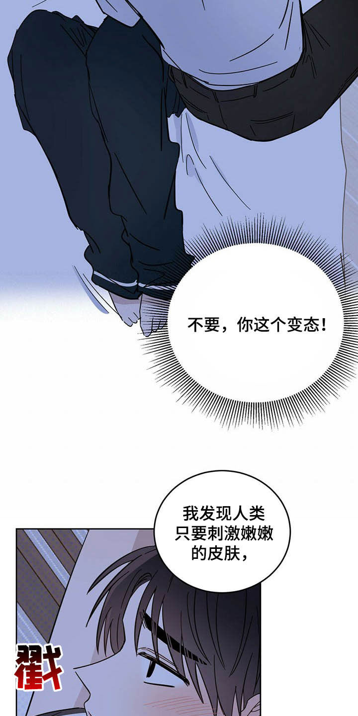 第13章：寄生虫19