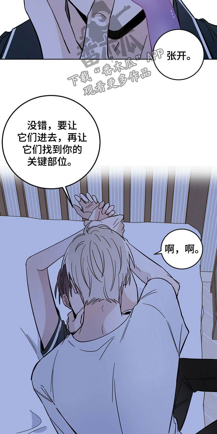 第13章：寄生虫18