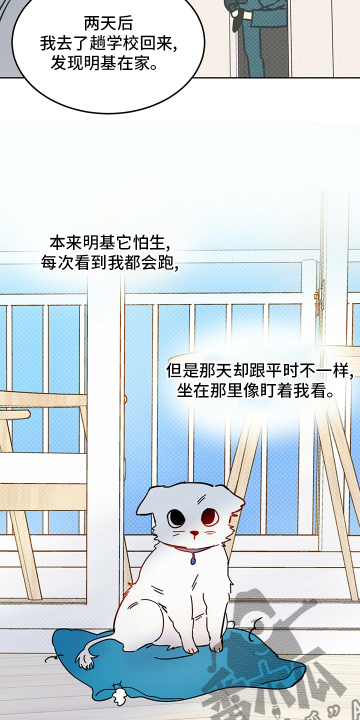 第26章：小狗13