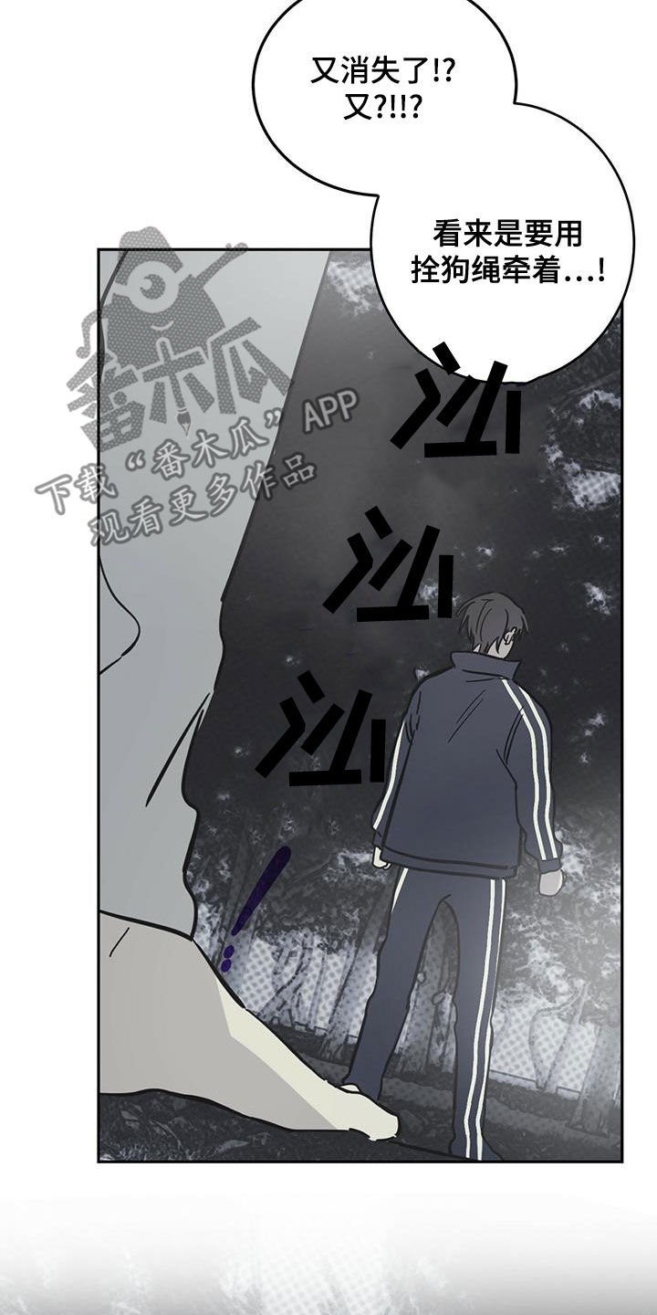 第60章：伪装7