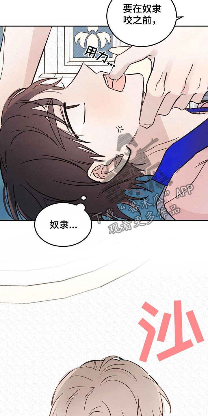 第64章：【第二季】奴隶22