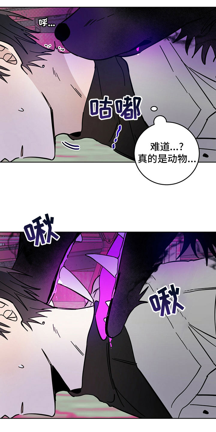 第27章：动物20