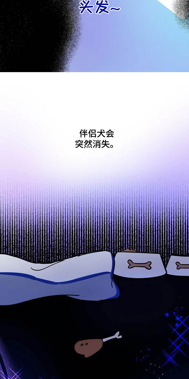 第24章：宠物捉迷藏11