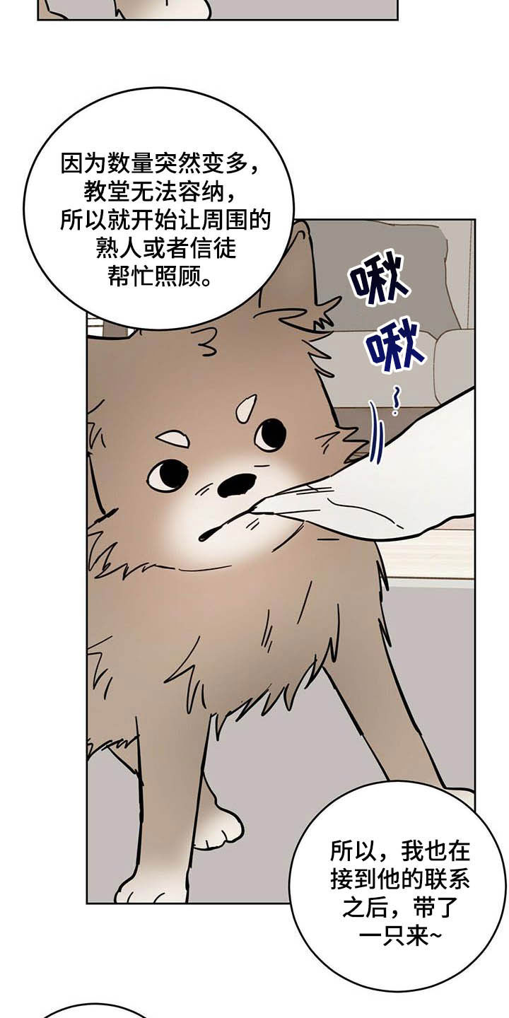 第24章：宠物捉迷藏6