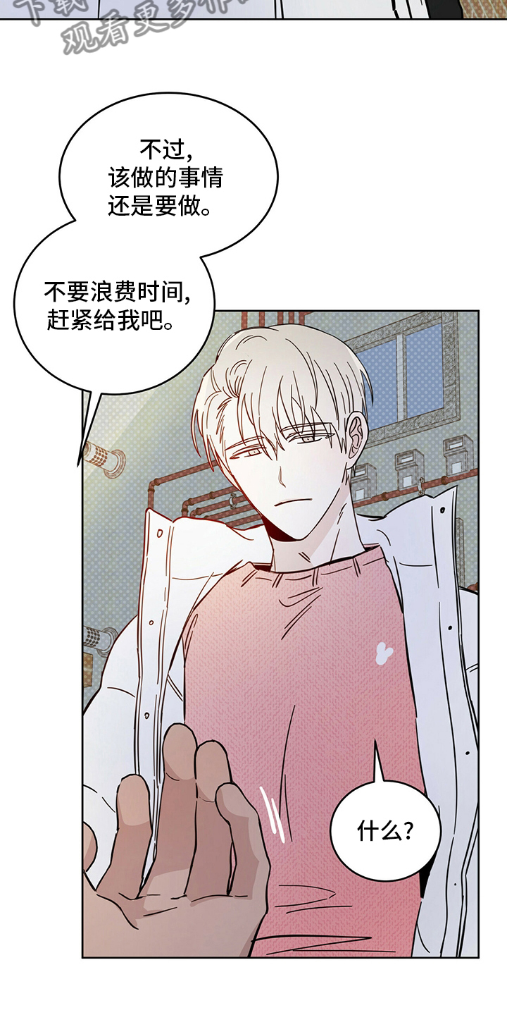 第27章：动物3