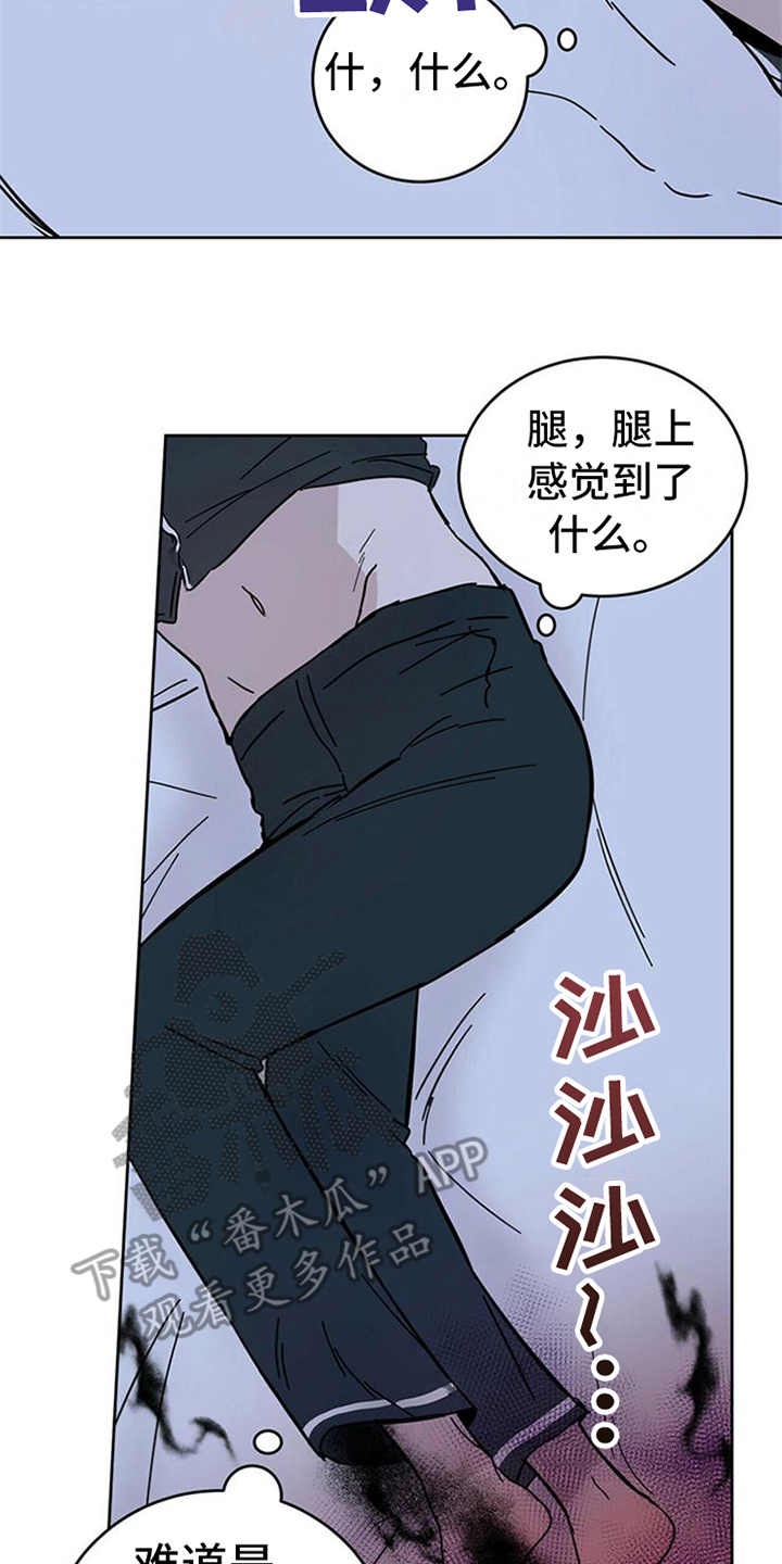 第12章：容器22