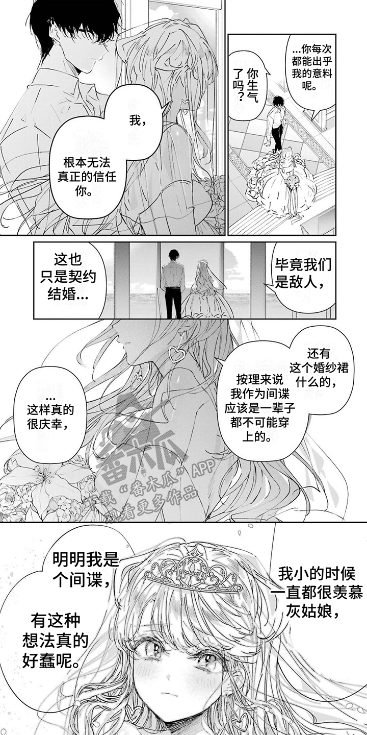 第5章：灰姑娘0