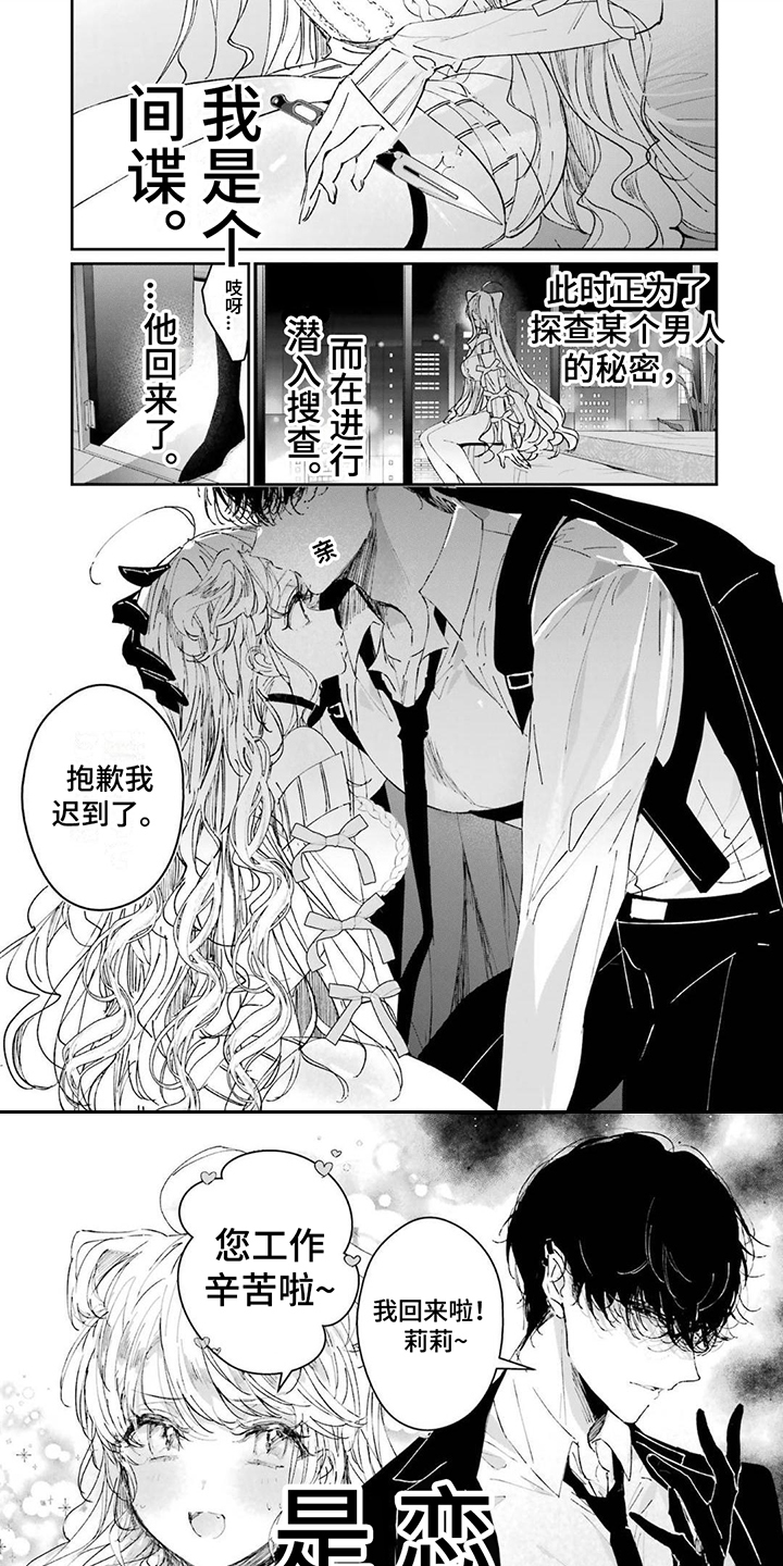 第1章：刺客与间谍0
