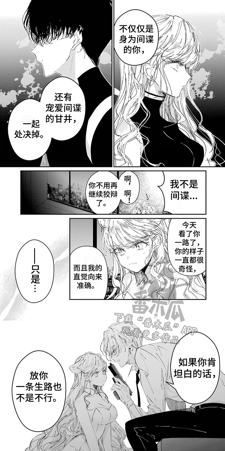 第14章：逼问0