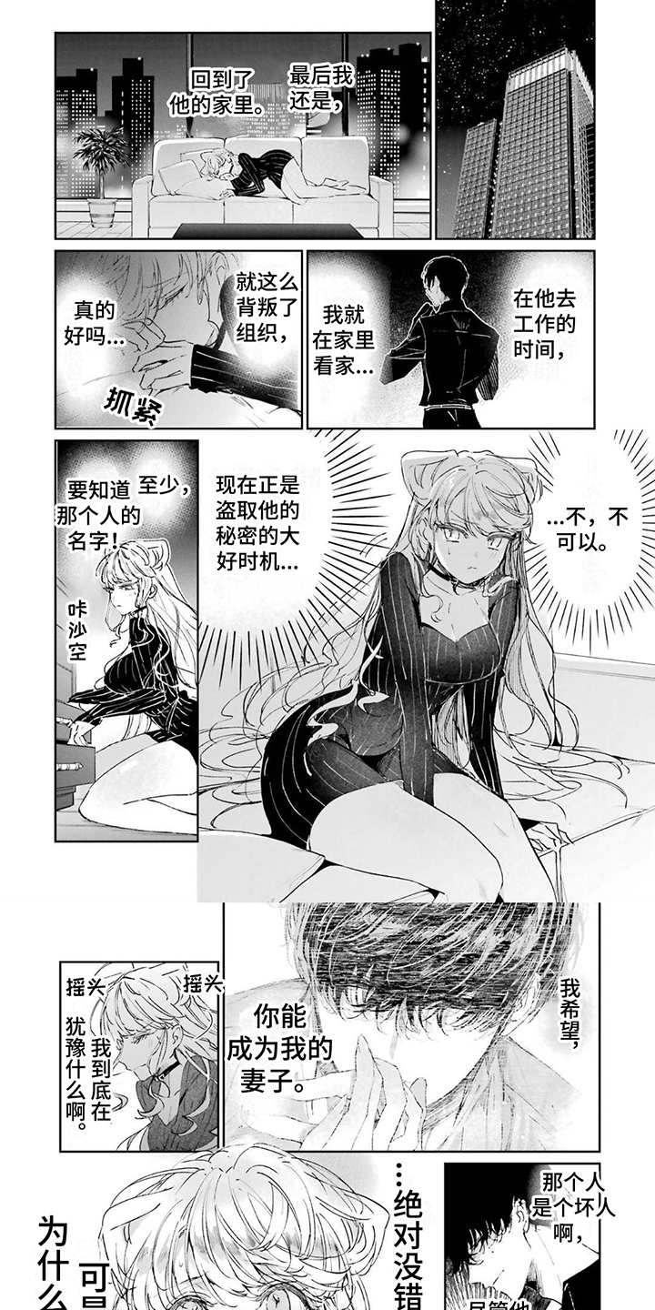 第3章：买衣服5